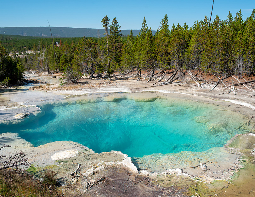 シスターン・スプリング・スプリング